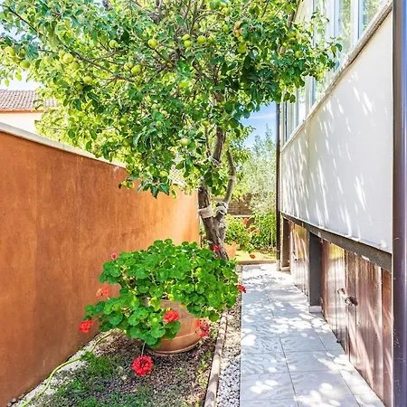 아파트 2 With Pool